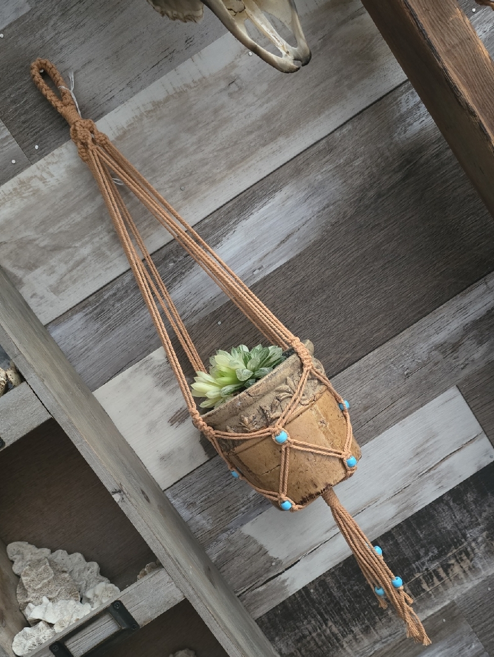 Plant Hanger